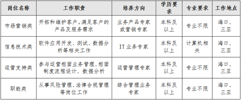 选择适合的海南软件开发团队，打造您的专属应用