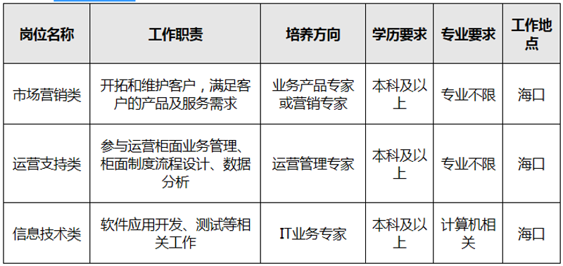海南IT服务